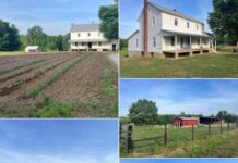 Charming Amish Farmhouse on 31 Acres with Massive 80×100 Shop in Pontotoc