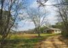 Build, Grow & Dream Big on 10 Beautiful Acres