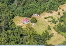 Classic Farmhouse Retreat Bordering Peaceful Protected Forest Land