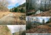 Expansive 101.18-Acre Virginia Property with Endless Potential