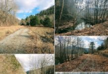 Expansive 101.18-Acre Virginia Property with Endless Potential