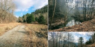 Expansive 101.18-Acre Virginia Property with Endless Potential