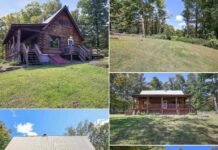 Secluded Log Cabin Retreat on 4 Private Acres Near the Lake