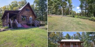 Secluded Log Cabin Retreat on 4 Private Acres Near the Lake