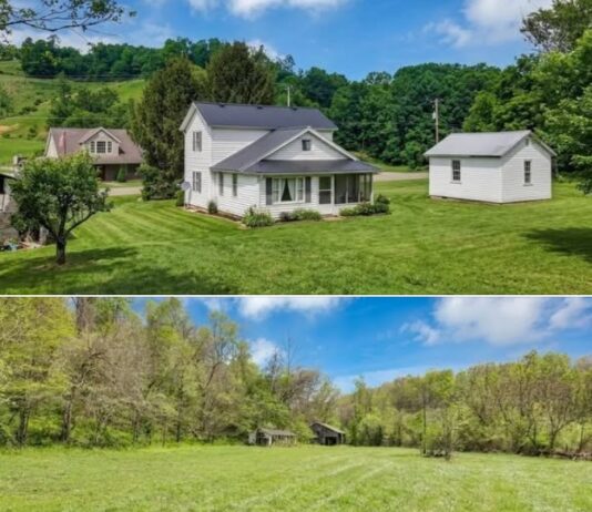 Country Farmhouse Escape on 14 Acres with Hunting Opportunities