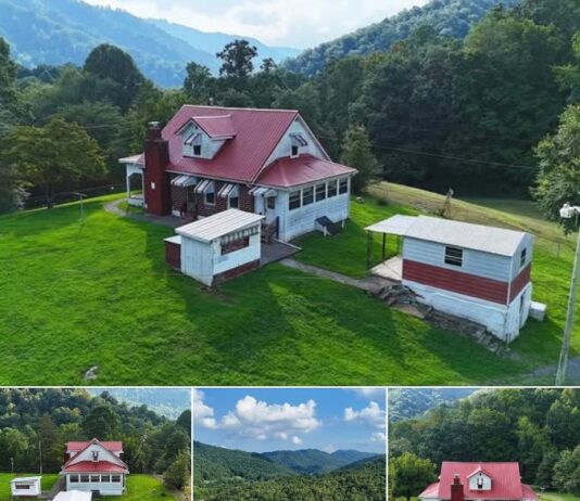 Cozy Country Retreat Featuring a Solid 1940s Brick Home