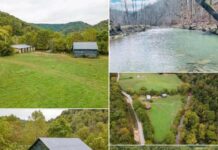 Farm Land with 77.85 Acres in Oneida, Kentucky