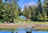 Oceanfront in Alaska! Watch whales breach from your porch! Over an acre. $249,000