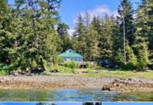 Oceanfront in Alaska! Watch whales breach from your porch! Over an acre. $249,000