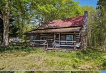 1-Acre Log Cabin Homestead