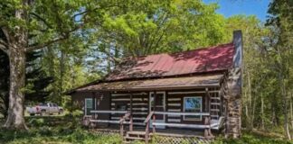 1-Acre Log Cabin Homestead