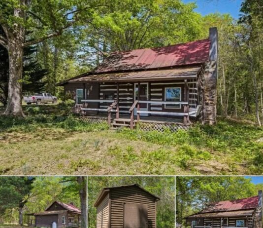 1-Acre Log Cabin Homestead