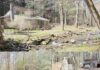 3.2 Acres Lot