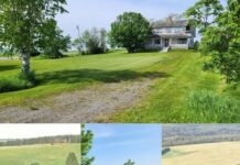 95-Acre Farm Revival Opportunity