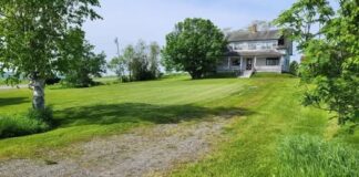 95-Acre Farm Revival Opportunity