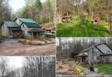 Timeless 1800s Log Cabin on 22 Acres – Where Rustic Charm Meets Modern Living