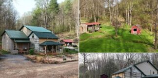 Timeless 1800s Log Cabin on 22 Acres – Where Rustic Charm Meets Modern Living