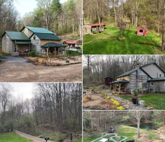 Timeless 1800s Log Cabin on 22 Acres – Where Rustic Charm Meets Modern Living