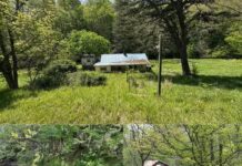 Scenic 13-Acre Creekside Retreat with Farm Potential in Rural West Virginia