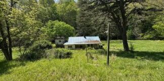 Scenic 13-Acre Creekside Retreat with Farm Potential in Rural West Virginia
