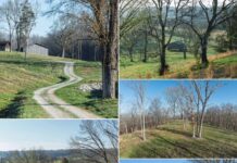 Farm Land with 143.29 Acres in Hampshire, Tennessee