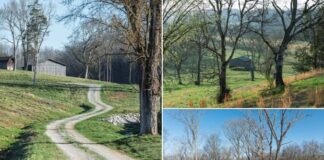 Farm Land with 143.29 Acres in Hampshire, Tennessee