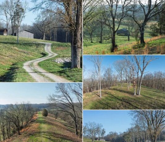 Farm Land with 143.29 Acres in Hampshire, Tennessee