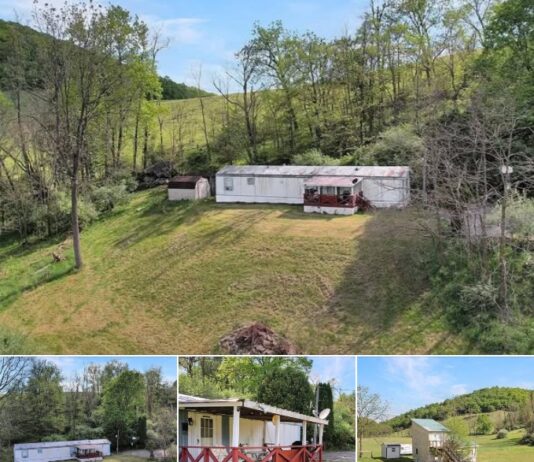 Charming 3-Bedroom Retreat on 4+ Acres