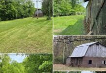 26.3-Acre Raw Acreage and Barn in Charleston Region