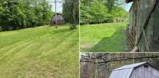 26.3-Acre Raw Acreage and Barn in Charleston Region