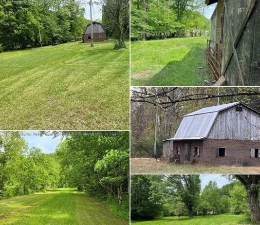 26.3-Acre Raw Acreage and Barn in Charleston Region