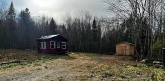 Secluded Off-Grid Getaway on 15 Scenic Acres