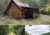 Secluded Woodland Retreat Surrounded by Nature