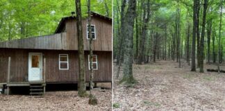 10.3 Acres Lot
