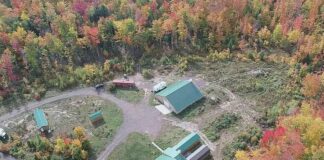 Single Family Home with 40 Acres in Skandia, Michigan
