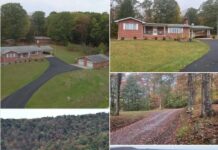 Home with 80.65 Acres in Mill Creek, West Virginia