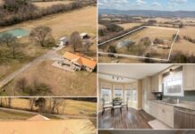 featuring a charming cabin ready for your personal touch on expansive 4.78. $259,900