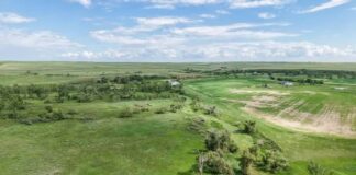 Montana Riverfront Paradise $40,000