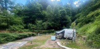 Land with 45 Acres in McDowell, Kentucky