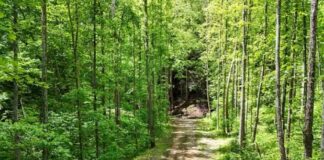 Private 121-Acre Off-Grid Wilderness Retreat