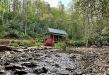 Country Home with 80 Acres in Fairview, North Carolina