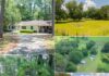 Beautiful 5-Acre Estate Auction $85,000