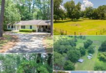 Beautiful 5-Acre Estate Auction $85,000