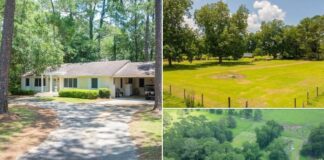 Beautiful 5-Acre Estate Auction $85,000