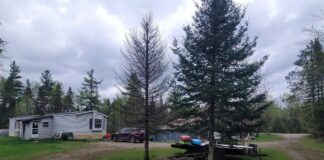 Mobile Home with 17 Acres in Ocqueoc Township, Michigan
