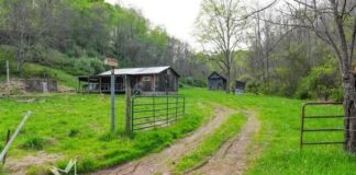 Private 115-Acre Hunting Property Featuring a Cozy Cabin