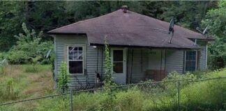 Peaceful Acre Property Featuring a 2-Bedroom Home