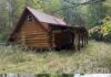 Cozy Forest Cabin with Endless Outdoor Adventure