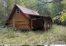 Cozy Forest Cabin with Endless Outdoor Adventure