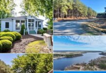 Land with 21.92 Acres in Edenton, North Carolina